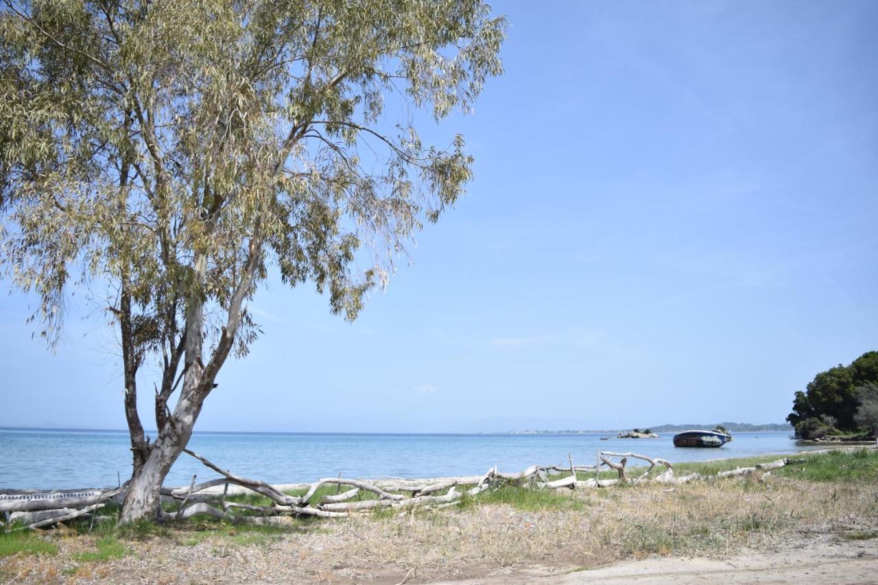 Corfu Seaview Maisonette - Sopra Il Mare Petrití Exteriér fotografie